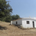 panagia-xryseleousa (2)